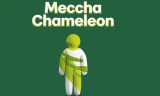 Meccha Chameleon background