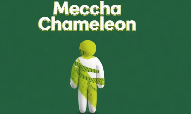 Meccha Chameleon img