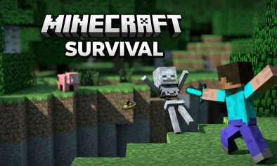 Minecraft Survival img